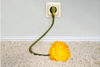 Xây dựng “môi trường sinh thái” cho sản phẩm của một thương hiệu