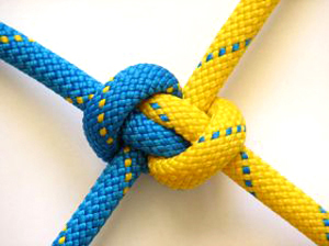 Thông điệp & cam kết của chúng tôi.